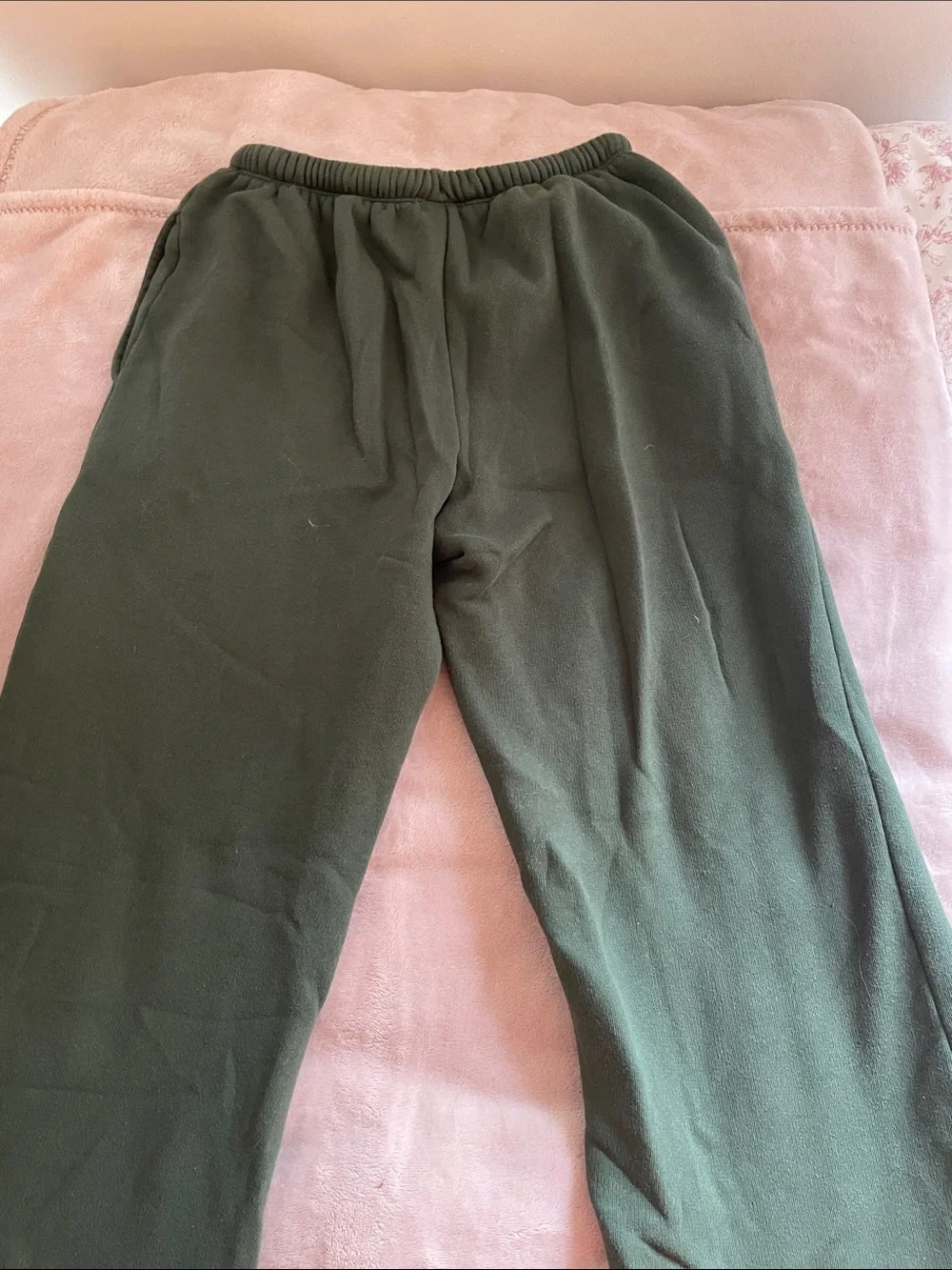 Green Wild Fable Sweatpants (low rise)